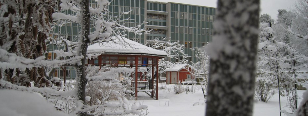 En snöig park med sjukhusbyggnaden i bakgrunden.