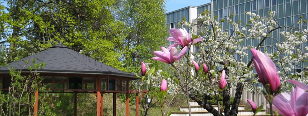 Ett lusthus och några rosa blommor i en park.